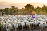 Photo: ©FAO/Quang Nguyen Vinh